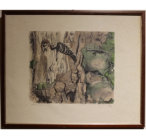 Gravure "Nid d'épeichette" signée Robert HAINARD