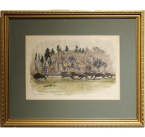 Gravure "Troupeau de bisons" signée HAINARD