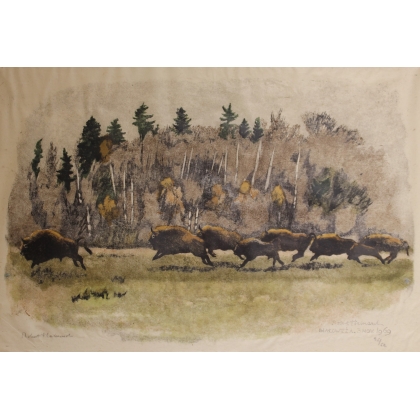 Gravure "Troupeau de bisons" signée HAINARD