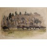 Gravure "Troupeau de bisons" signée HAINARD