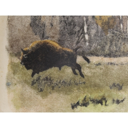 Gravure "Troupeau de bisons" signée HAINARD