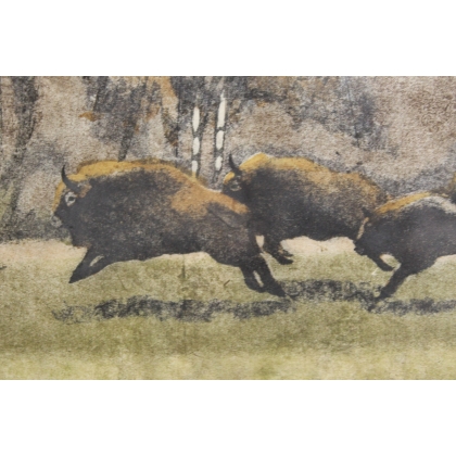 Gravure "Troupeau de bisons" signée HAINARD