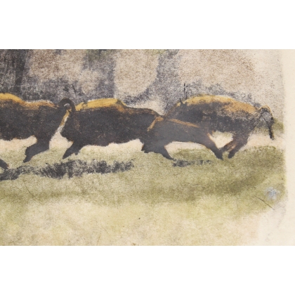 Gravure "Troupeau de bisons" signée HAINARD