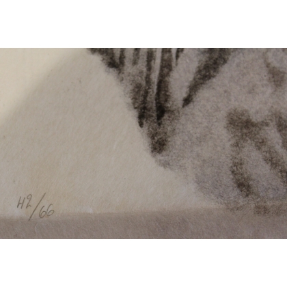 Lithographie "Chat sauvage" signée C. STERN 91