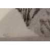 Lithographie "Chat sauvage" signée C. STERN 91