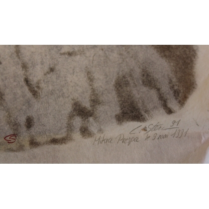 Lithographie "Chat sauvage" signée C. STERN 91