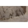 Lithographie "Chat sauvage" signée C. STERN 91