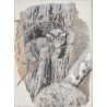 Lithographie "Chat sauvage" signée C. STERN 91