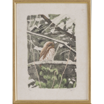 Lithographie "Chouette" signée C. STERN