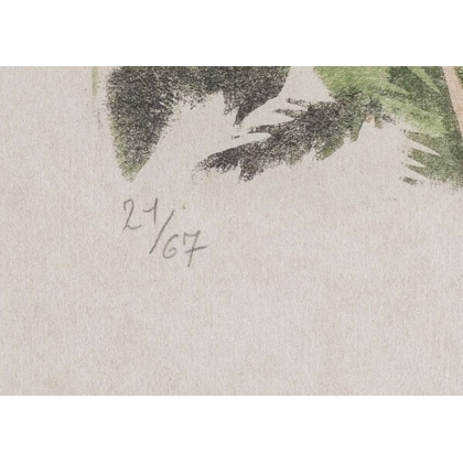 Lithographie "Chouette" signée C. STERN