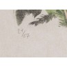 Lithographie "Chouette" signée C. STERN