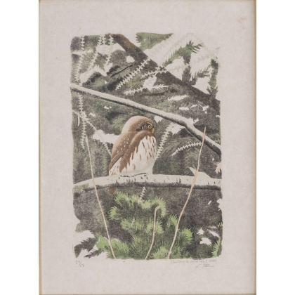 Lithographie "Chouette" signée C. STERN