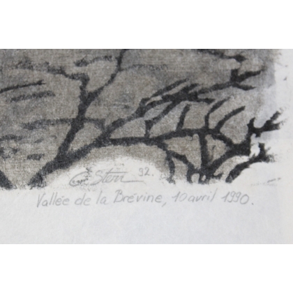 Lithographie "Sangliers" signée C. STERN 92