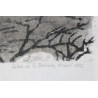 Lithographie "Sangliers" signée C. STERN 92