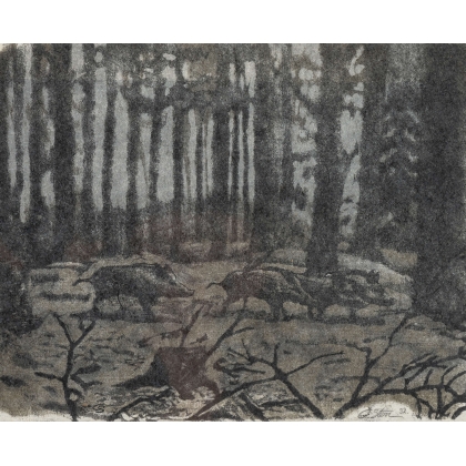 Lithographie "Sangliers" signée C. STERN 92