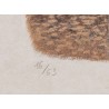Lithographie "Chamoix" signée C. STERN