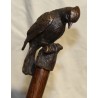 Walking stick with a bronze woodpecker-head knob