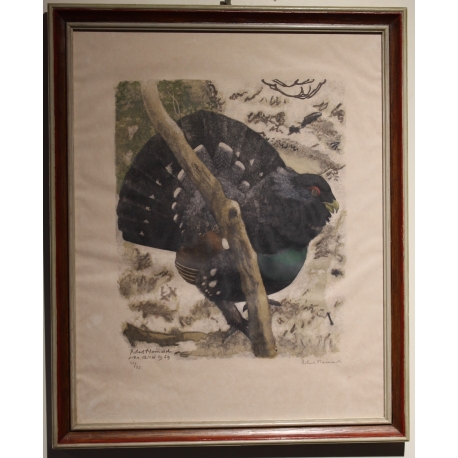 Gravure "Grand coq" signé HAINARD