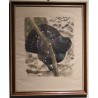 Gravure "Grand coq" signé HAINARD