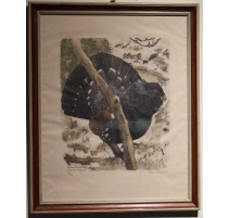 Gravure "Grand coq" signé HAINARD