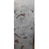 A pair of BADAN Kung Bore skis with poles