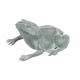 Grenouille en bronze