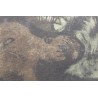 Gravure "Castor" signée Robert HAINARD