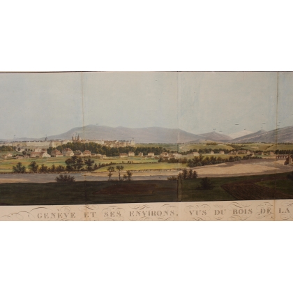 Lithographie panoramique "Genève et environs"