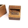 Punch tool with various bits