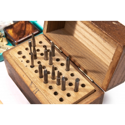 Punch tool with various bits