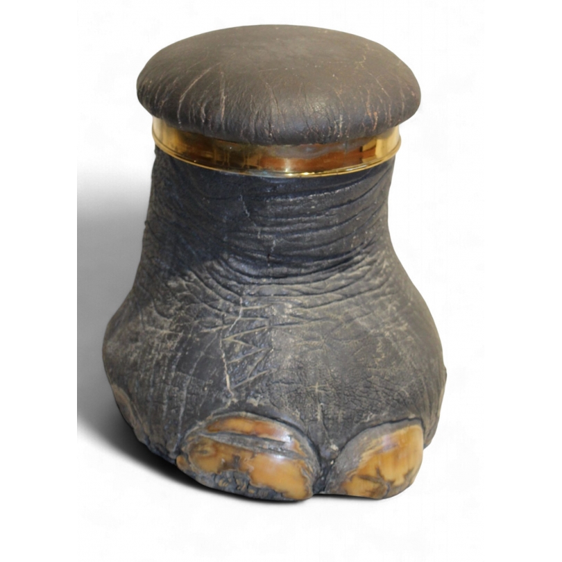 Elephant stool