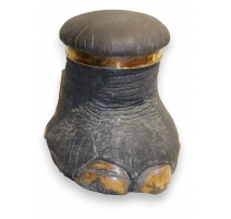 Elephant stool