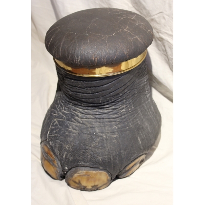 Elephant stool