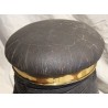 Elephant stool