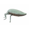 Bronze beetle with a green patina, shaped like a box