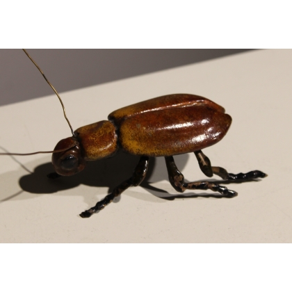 Scarabée en bronze peint brun