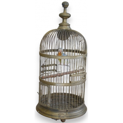 Cage à oiseaux en fer doré avec perroquet