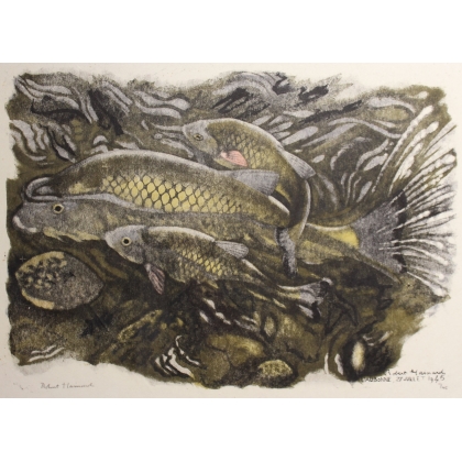 Gravure "Chevaines" signée Robert HAINARD
