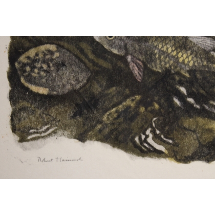 Gravure "Chevaines" signée Robert HAINARD
