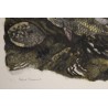 Gravure "Chevaines" signée Robert HAINARD