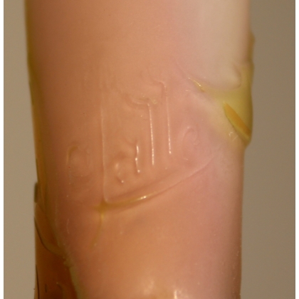 Vase "Ombellifère" signé GALLÉ