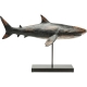 Requin en résine sur une base en métal noir