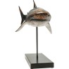 Requin en résine sur une base en métal noir