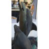 "4 Dolphins" bronze fountain