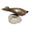 Canard de Charles REUSSNER