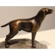 Bronze "Chien Braque" de Charles REUSSNER