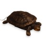 Bronze \"Tortue\" de Charles REUSSNER