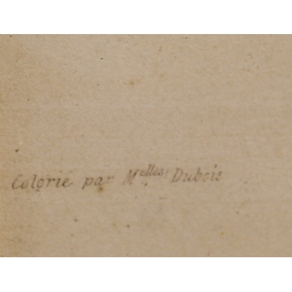 Gravure Poire par GALLAND