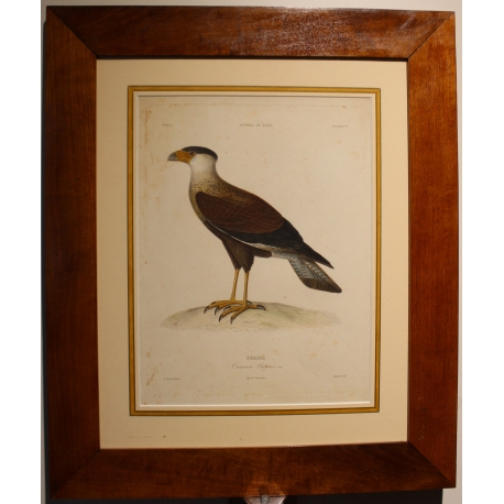 Gravure Traro par PRÉVOST