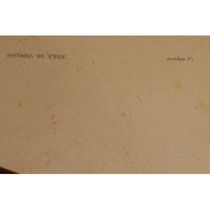 Gravure Traro par PRÉVOST